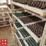 Traditional Chinese Medicine Incense Bead Bracelet (Five Elements & Five Colors Edition) - Image 4